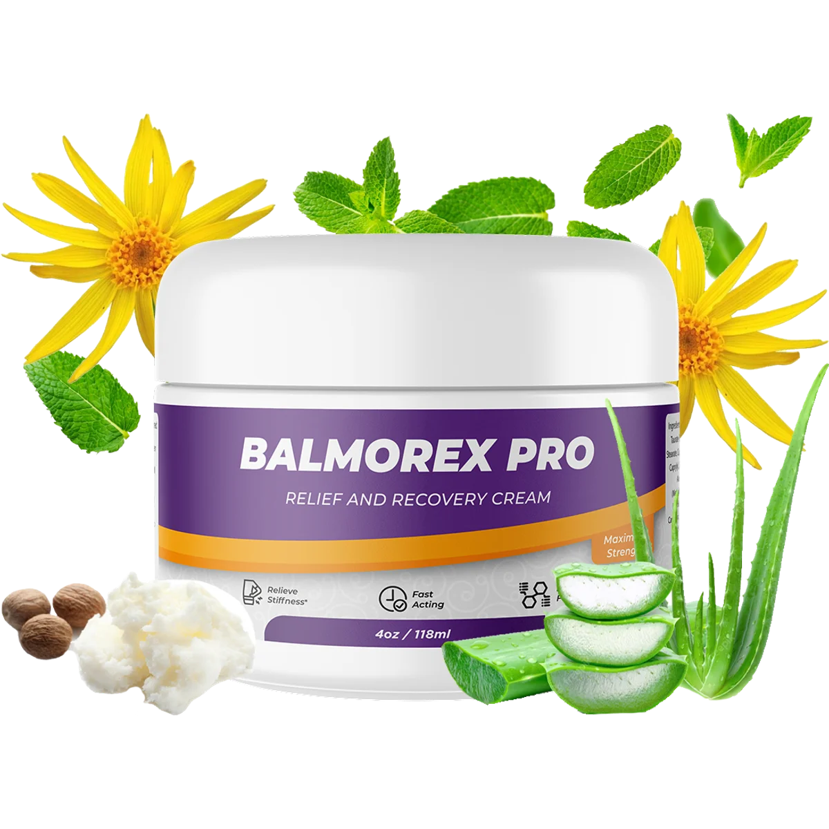 Balmorex Pro Joint & Mobility Supplement Bottle (Front Label)